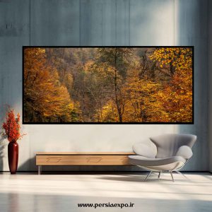 تابلوعکس پاییز جنگل هیرکانی