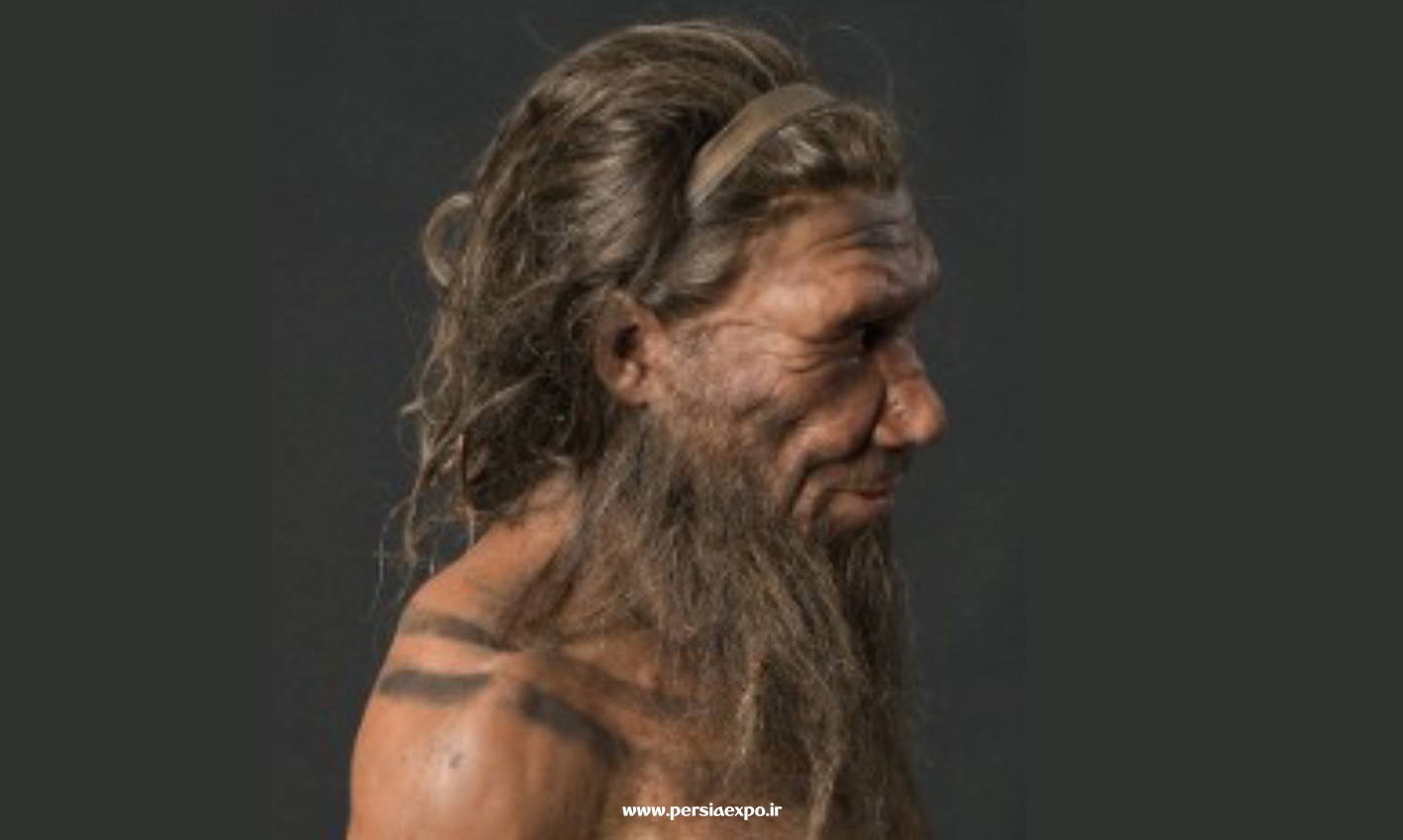 انسان اولیه