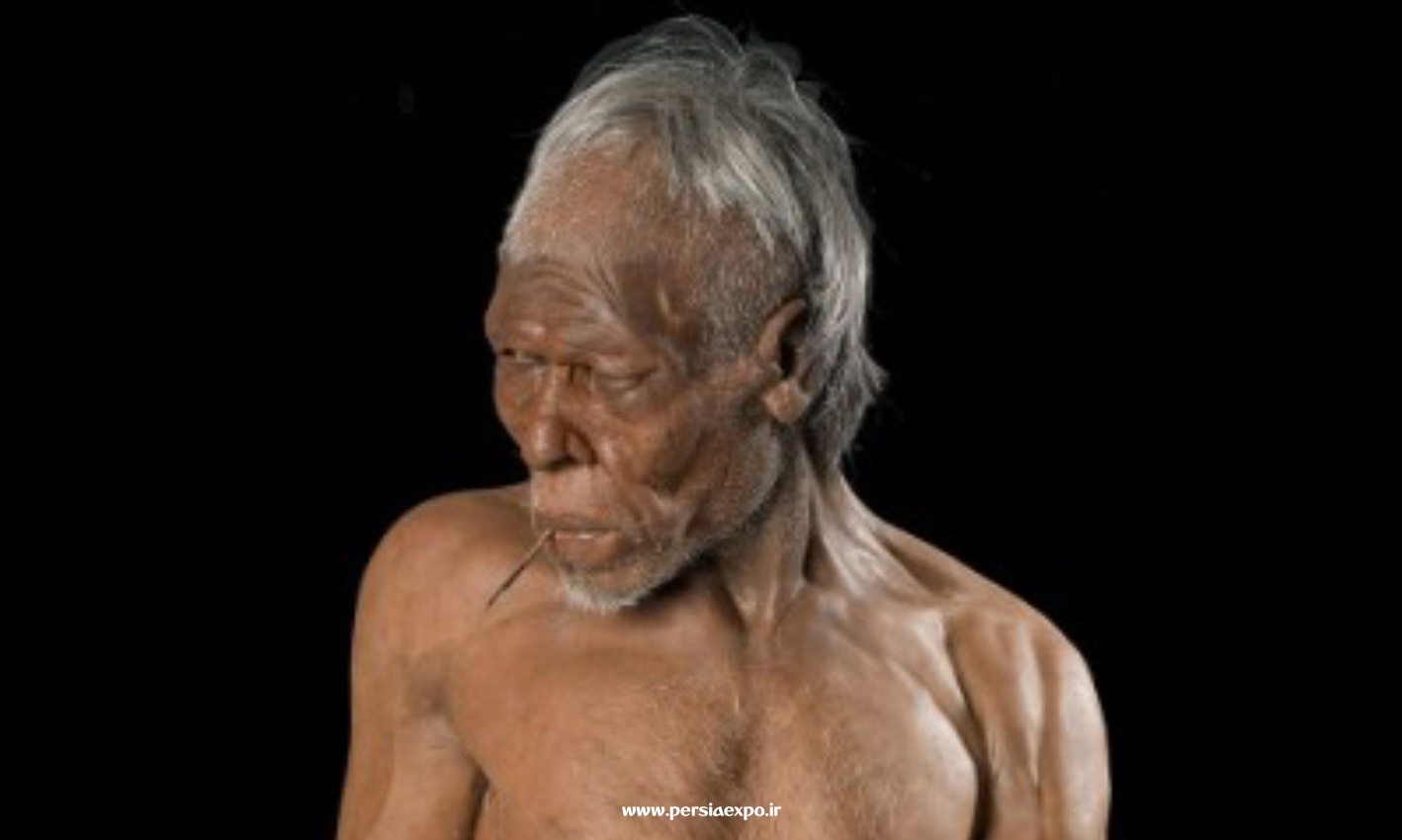 انسان اولیه