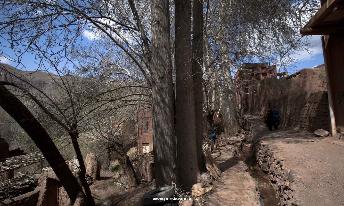 ابیانه