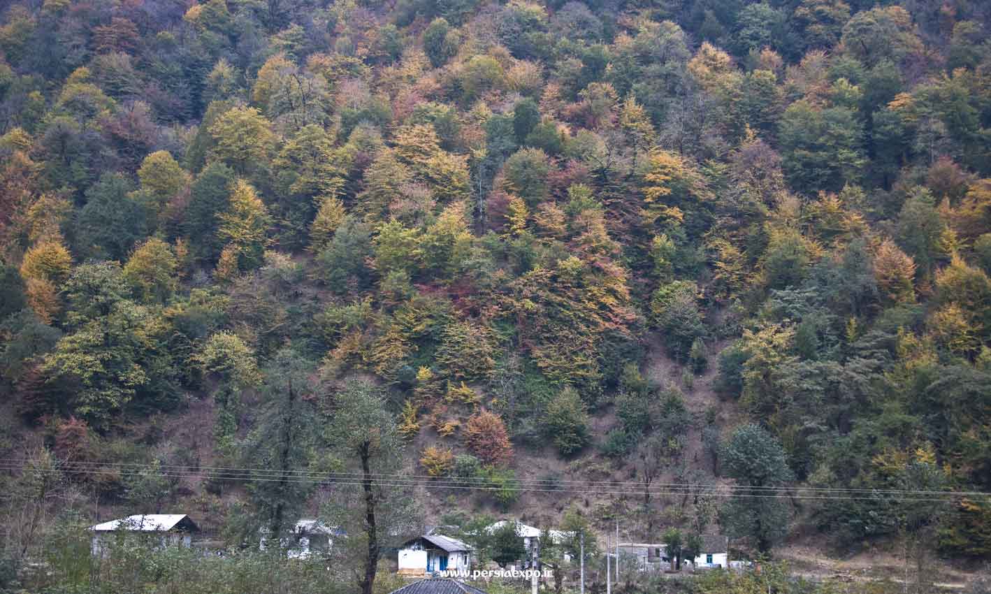 راهنمای سفر به گیلان راهنمای سفر به گیلان