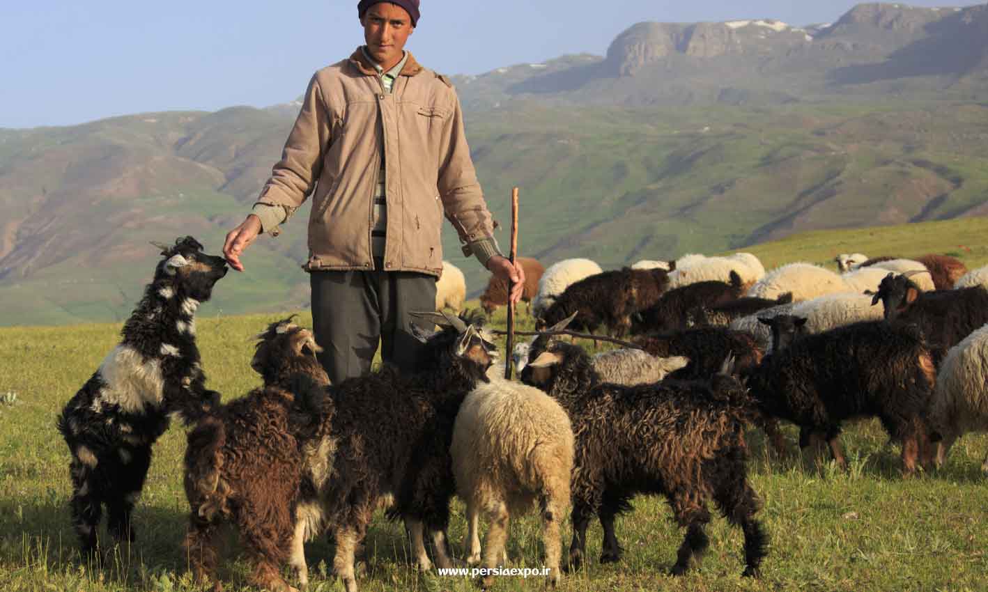 عشایر گیلان عشایر گیلان