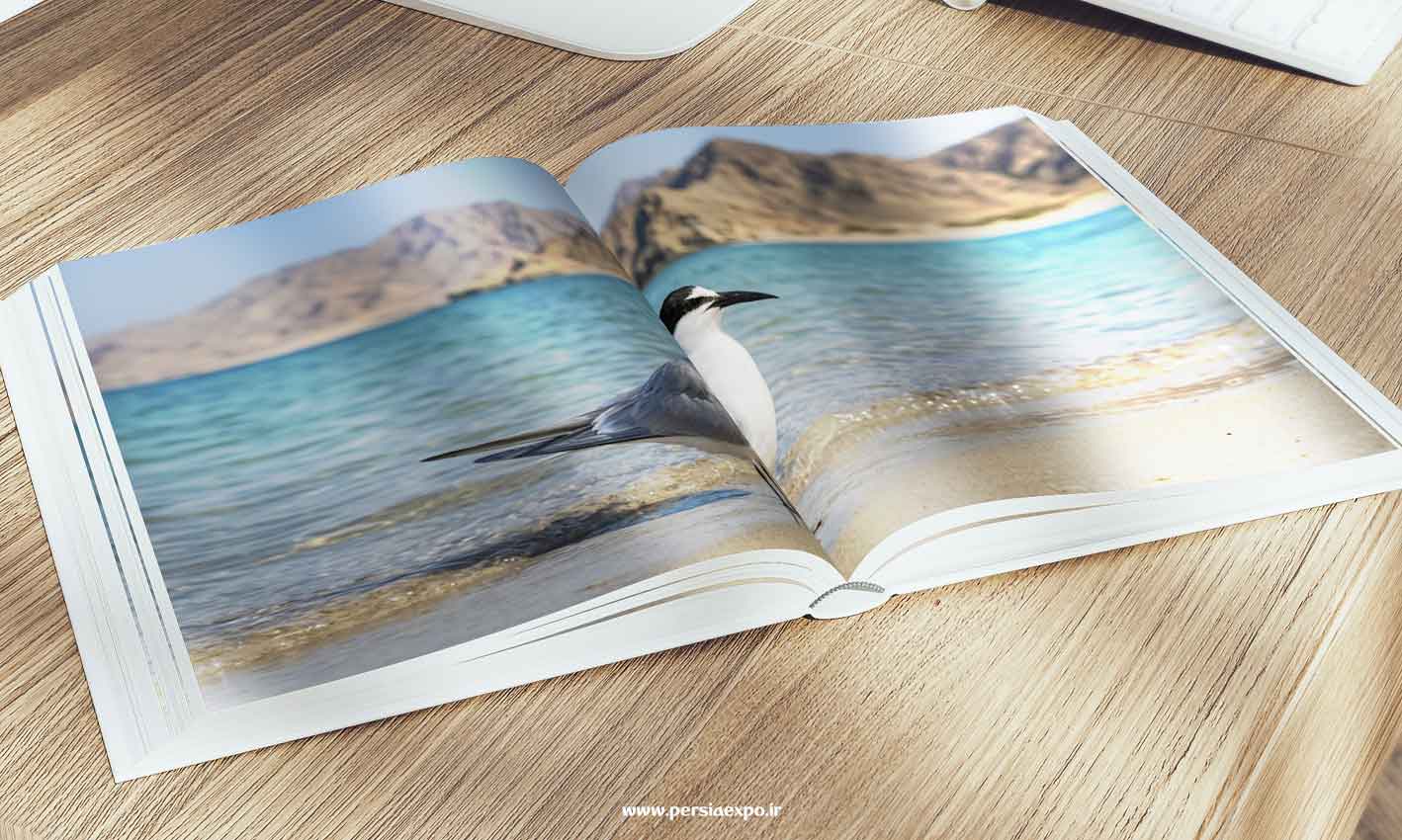 کتاب خلیج فارس