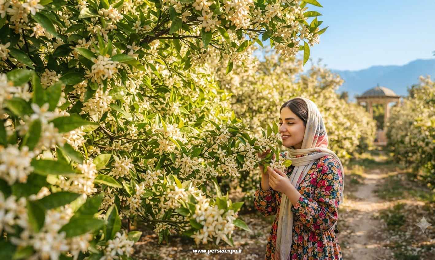 راهنمای سفر به فارس راهنمای سفر به فارس