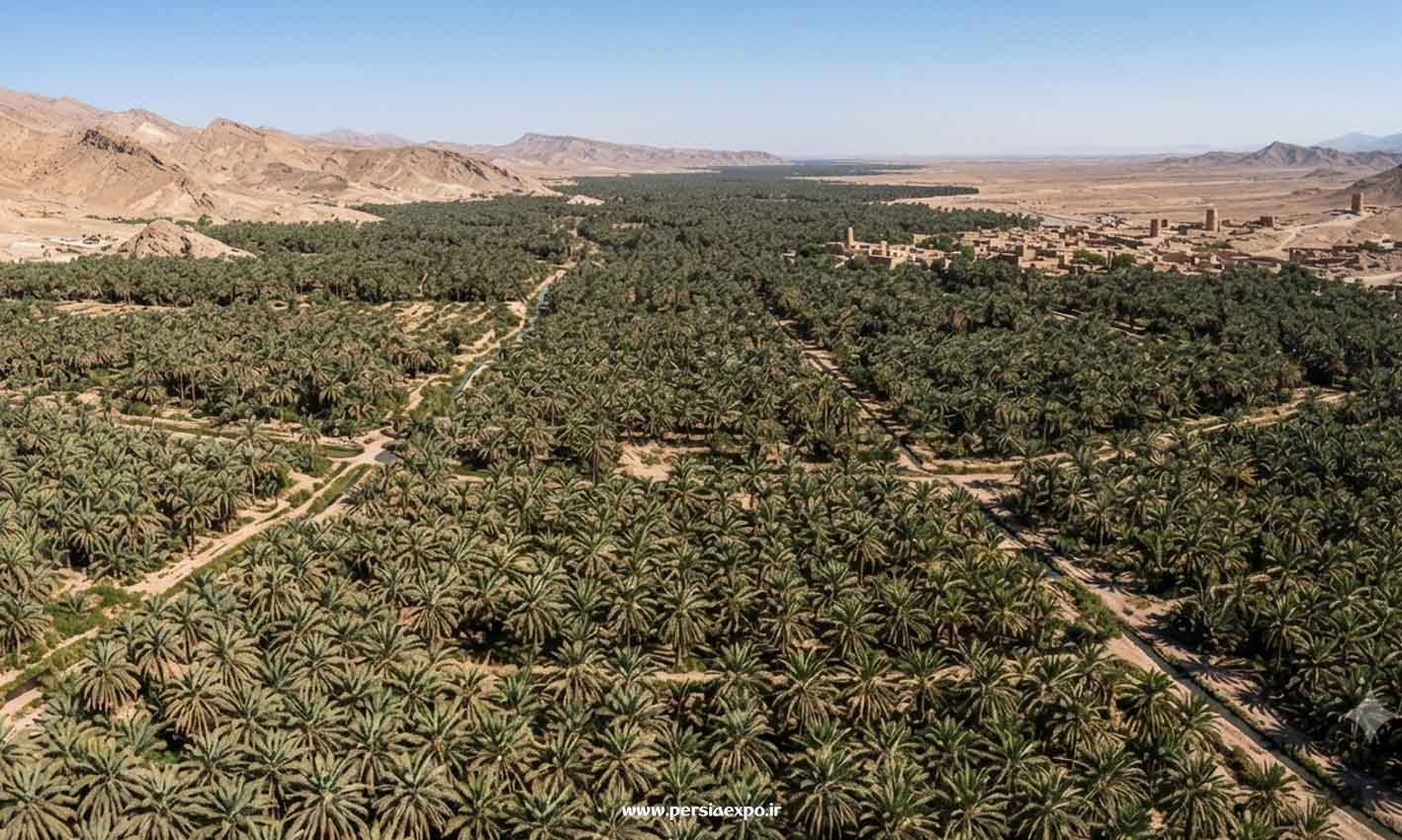 راهنمای سفر به فارس راهنمای سفر به فارس