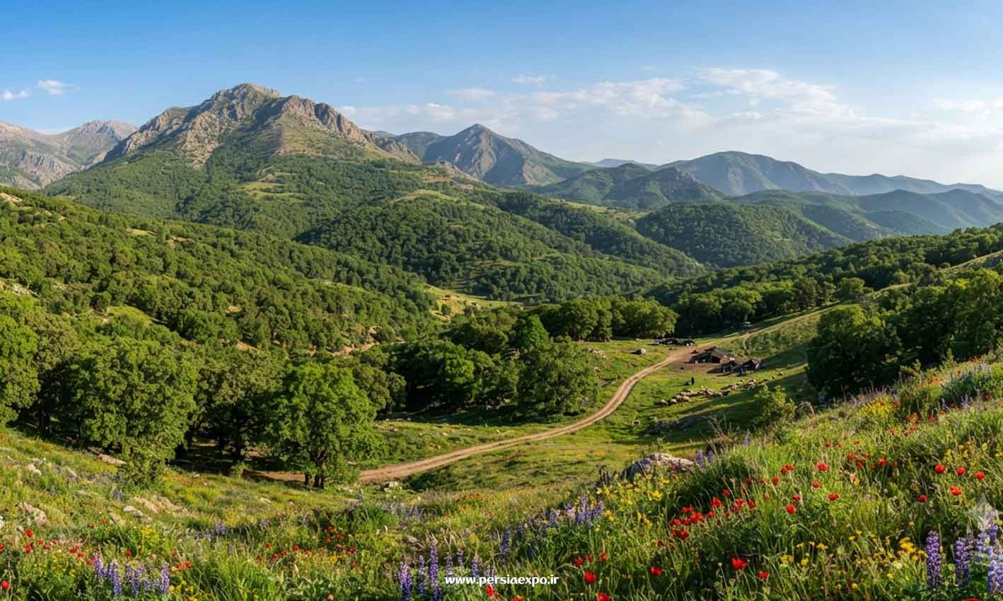 راهنمای سفر به فارس راهنمای سفر به فارس