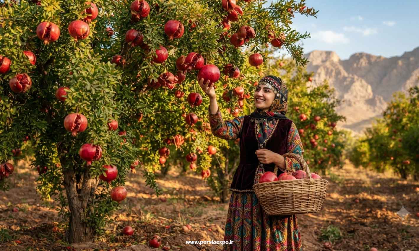 راهنمای سفر به فارس راهنمای سفر به فارس