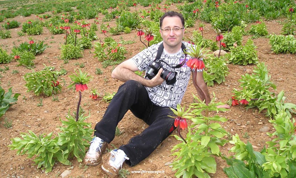 رضا گودرزی